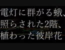 【琴葉葵】電灯に群がる蛾、照らされた2階、植わった彼岸花【自作曲】