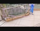 【合松】エ/ン/ゼ/ル/フ/ィ/ッ/シ/ュ【110松＋α】