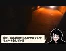 【潜入①】奥米トンネルに行ってみたら圏外だった