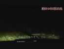 【潜入③】奥米トンネルに行ってみたら圏外だった