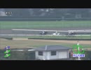 2018年　第141回 中山大障害（J・GⅠ）【ニホンピロバロン】