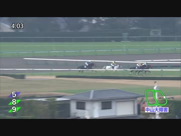 2018年　第141回 中山大障害（J・GⅠ）【ニホンピロバロン】