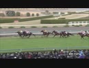 2018年　第13回 阪神C（GⅡ）【ダイアナヘイロー】