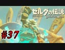 【ゼルダ実況】顔面ラフレシアなんですが  #37 【ゼルダの伝説ブレスオブザワイルド】