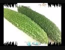 My video68