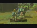 【ゼル伝BotW】100年の眠りから目覚めた勇者の冒険１４【もちまる】