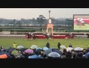 中山大障害 2018年12月　現地収録