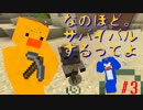 【minecraft】過去の恨みは根が深い!?なのほど。サバイバルするってよ#3【なのほど。】