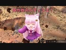 【Kenshi】あかねのパティシエ！  77品目
