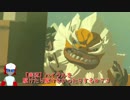 【実況】ハイラルを駆けたり駆けなかったりする＃７３【ゼルダの伝説ブレスオブザワイルド】