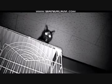 あずき「俺の背後に立つな」