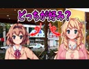 【ぎゃるちぇん】チェリーボーイと妻子持ちが浮気する【実況】中編