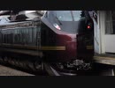 E655系 SENDAI光のページェント 団体臨時列車 運転