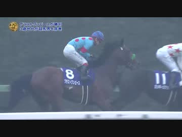 ブラストワンピース 第63回有馬記念優勝記念品 Amazon.co.jp: ブラストワンピース 第63回 有馬記念 GⅠ 優勝