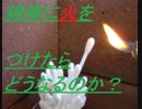 綿棒に火をつけて、どのように燃えるのか実験