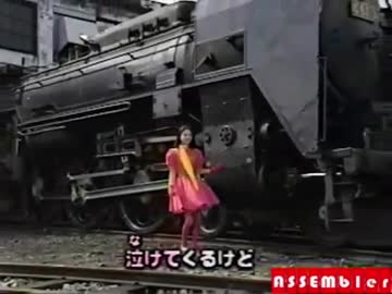 タコヤリイカのボンバー三番勝負