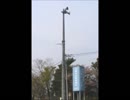 防災行政無線定時チャイム（過去）　東京都福生市
