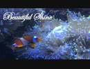 【オリジナル】Beautiful Shine
