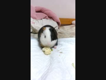 食べてるだけ
