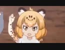 【合作単品】ミッドナイトジャガースクール