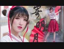 【大大鹿】寄明月