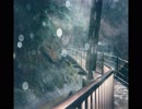【癒し】カエルの鳴き声と静かな雨の音《10分》（睡眠用BGM・作業用BGM・ASMR）
