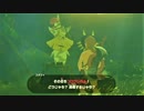 【初実況：ゼルダの伝説ブレス オブ ザ ワイルド】見ないと呪われます_part２８