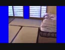 空手部引き戸BB　片側