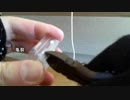 14.小型アクアリウム水槽（再リセット）