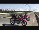ささらと初心者三十路ライダーの旅【一周年ツーリング編】