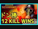 【PS4】ポチンキ降りて死にそうになりながらもドン勝 12KILL WINS【CS】