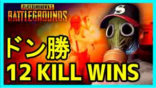 【PS4】ポチンキ降りて死にそうになりながらもドン勝 12KILL WINS【CS】