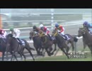 2018年有馬記念 民放・公共の全実況比較＋おまけ