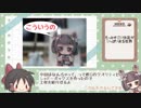 【東北きりたん（音声なし）】ゆっくりザックリmaking【シャドーボックス】