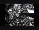 【歌愛ユキ】踊り踊らされる毎日【オリジナル】