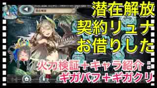 【クリプトラクト】潜在解放契約リュナお借りした‼️火力検証＋キャラ紹介：ギガバフ＋ギガクリ□【クリプト】