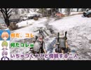 【初戦ドン勝つシーン】渋谷兄弟 × 花芽姉妹まとめ