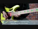 David Lee RothのElephant Gunのギターソロ(Steve Vai)を弾いてみた！