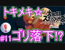 【スマブラSPECIAL実況】仲間を救い世界を取り戻さなイカ!?【灯火の星編】part11
