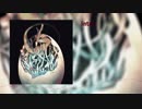 【C95新譜】OBLIVION / R'sFactory【XFD】