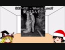ゆっくり霊夢と魔理沙のSCP講座クリスマス特別編’2018