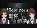 [Bloodborne]地底暮らし。_地上前編[バーチャル墓守]