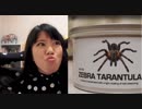 【タランチュラ】みんなのカバャピョを実写化してみた