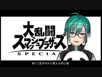 初心者がスマブラやるとこんなもん