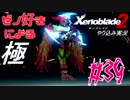 ゼノ好きによるゼノブレイド2初見でやり込み極プレイpart39【実況】
