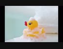【癒し】シャンプーの音《10分》（睡眠用BGM・作業用BGM・ASMR）