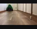 クリスマスツリーをプレゼントしたけど喜んでくれたかな？