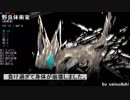 ポレン6　第34試合 【 3日目】