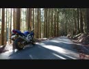 2018 Salvage Touring Report 2