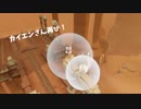 【風ノ旅ビト】カイエンさん再び！